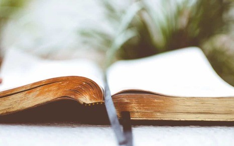 Pismo Święte - droga do zbawienia - lekcje Hioba Adama Szustaka OP